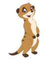 2023_Erdmännchen