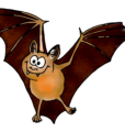 Fledermaus 2024-05-31 21_05_13