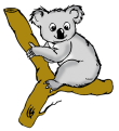 _Koala1