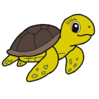 Schildkröte